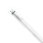 Philips Master Tube LED T8 (EM/Direct 230V) High Output T8 16.7W 3100lm - 865 Lumière Du Jour | 150cm - Remplacement 58W